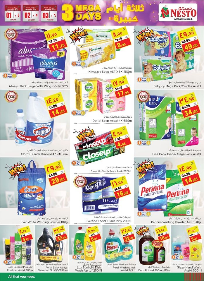 Nesto Dammam Mega 3 Days Offers