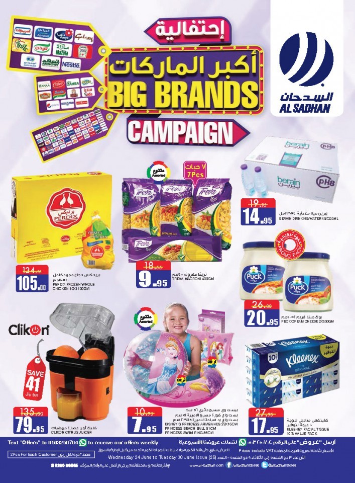 Al Sadhan Stores Big Brands Campaign