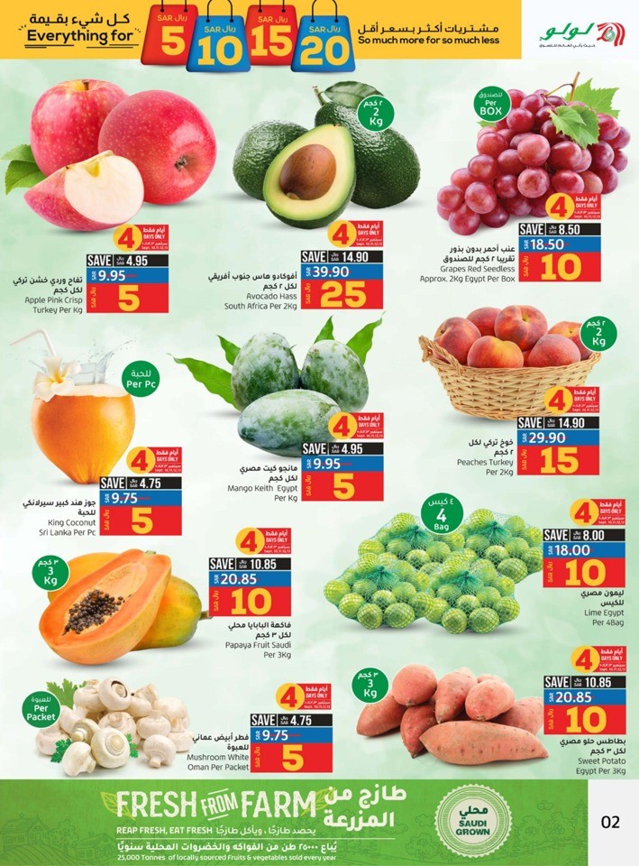 Dammam Everything For 5,10,15,20