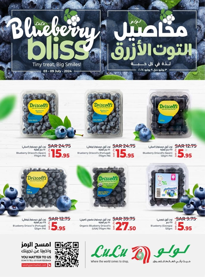 Lulu Blueberry Bliss Offer