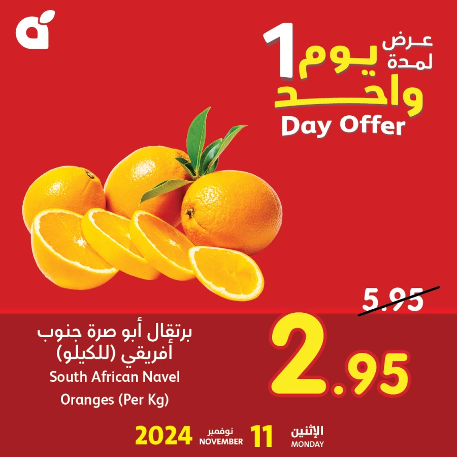 Hyper Panda 1 Day Offer
