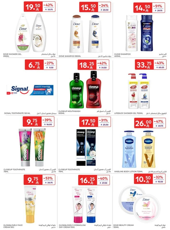 Carrefour Best Promotion
