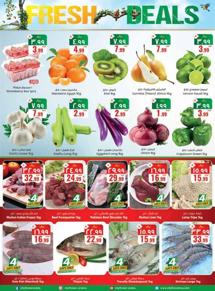  عروض سيتي فلاور   من 26 نوفمبر إلى 01 ديسمبر 2025