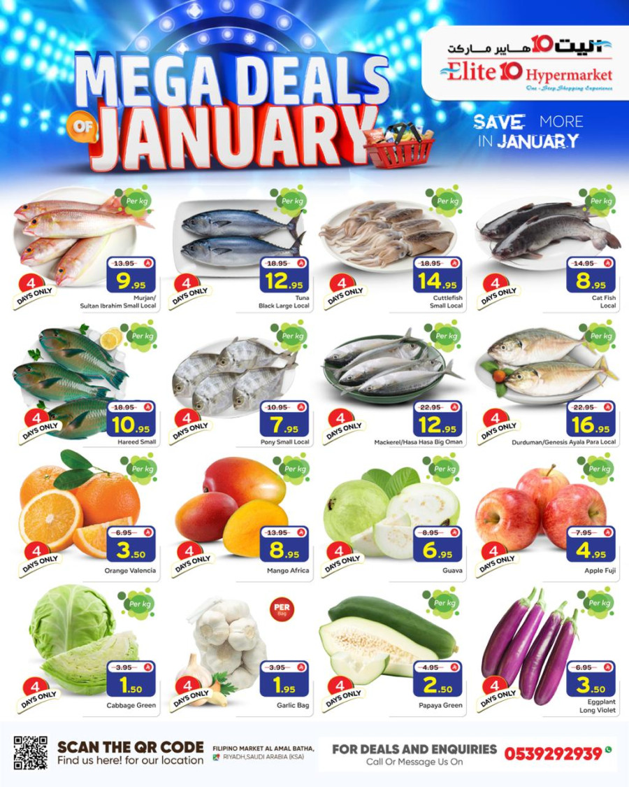 Mega Deals January Promotion