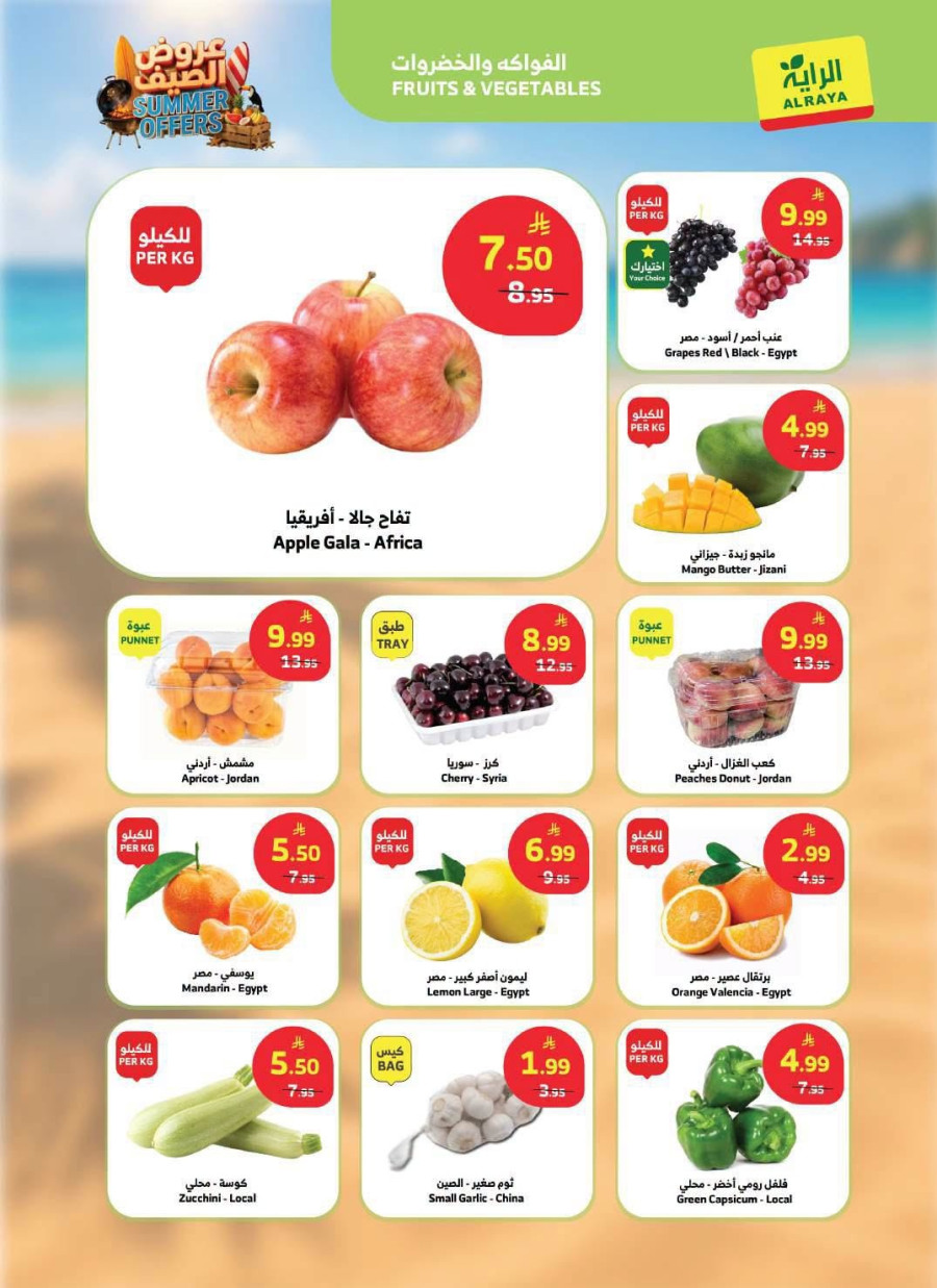 Al Raya Summer Offers