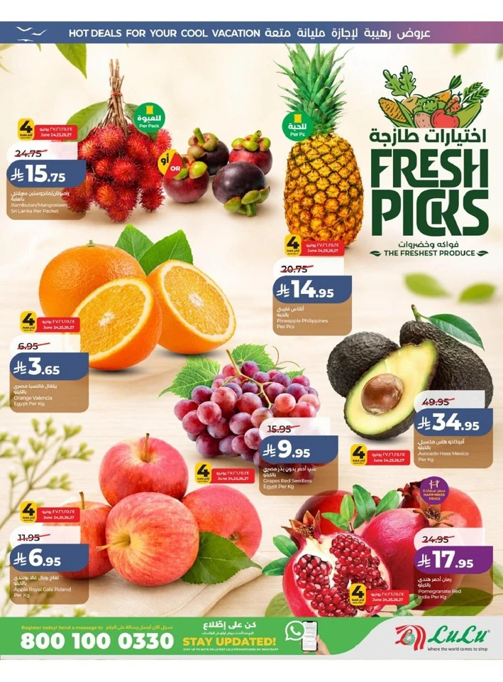 Eastern Province The Great Holiday Sale Offer