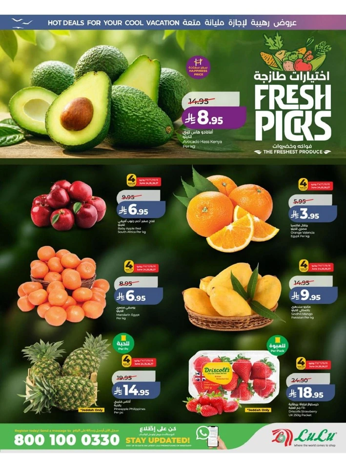 Western Province The Great Holiday Sale Offer