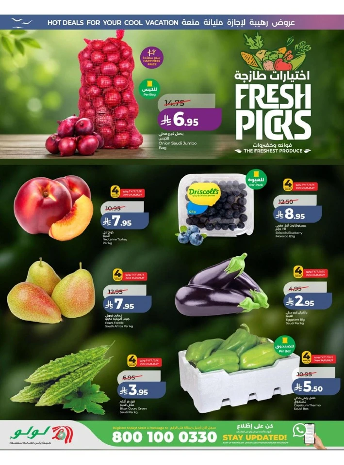 Western Province The Great Holiday Sale Offer