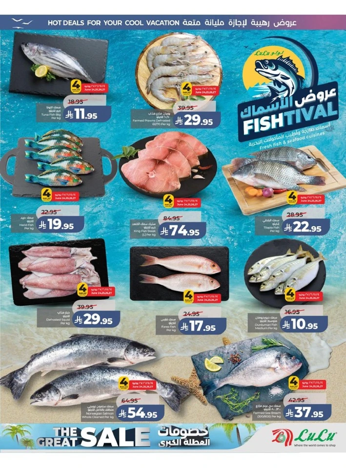 Western Province The Great Holiday Sale Offer
