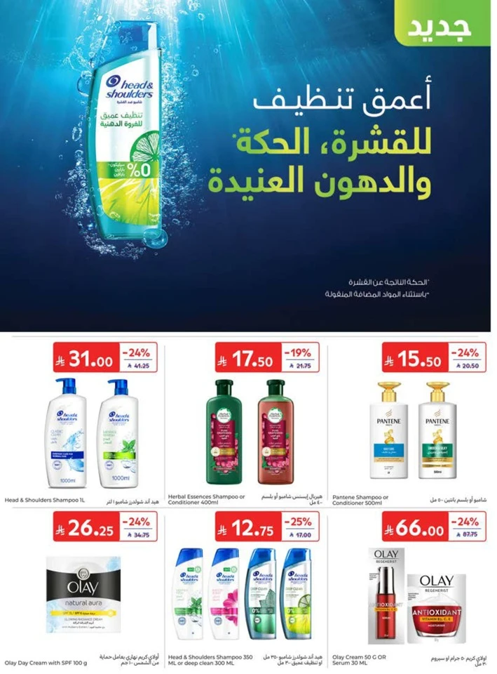 Carrefour Summer Promotions