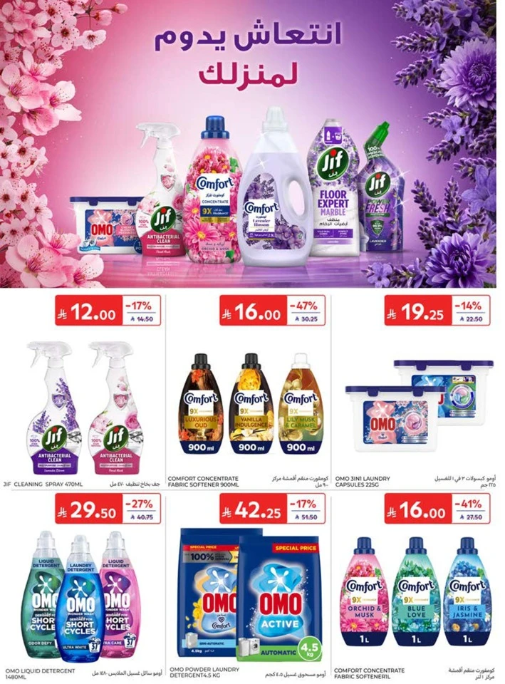 Carrefour Summer Promotions