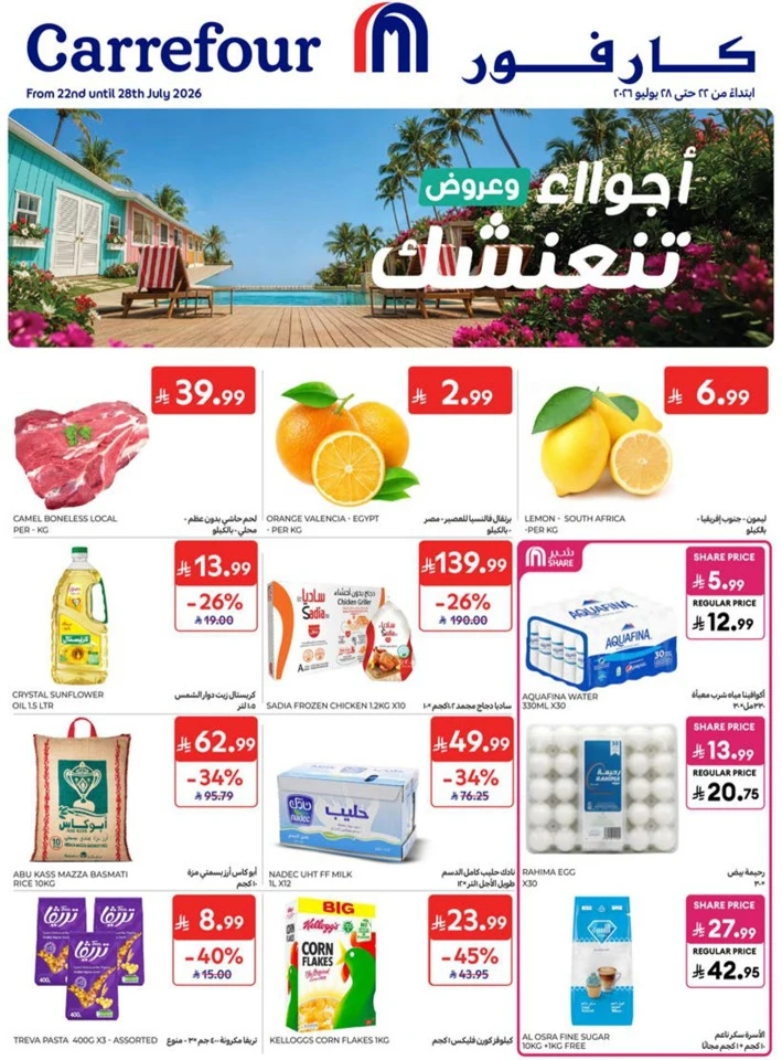 Carrefour Big Promotion
