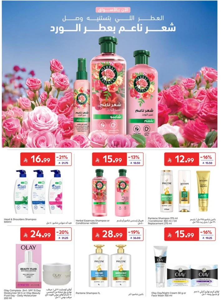 Carrefour Big Promotion