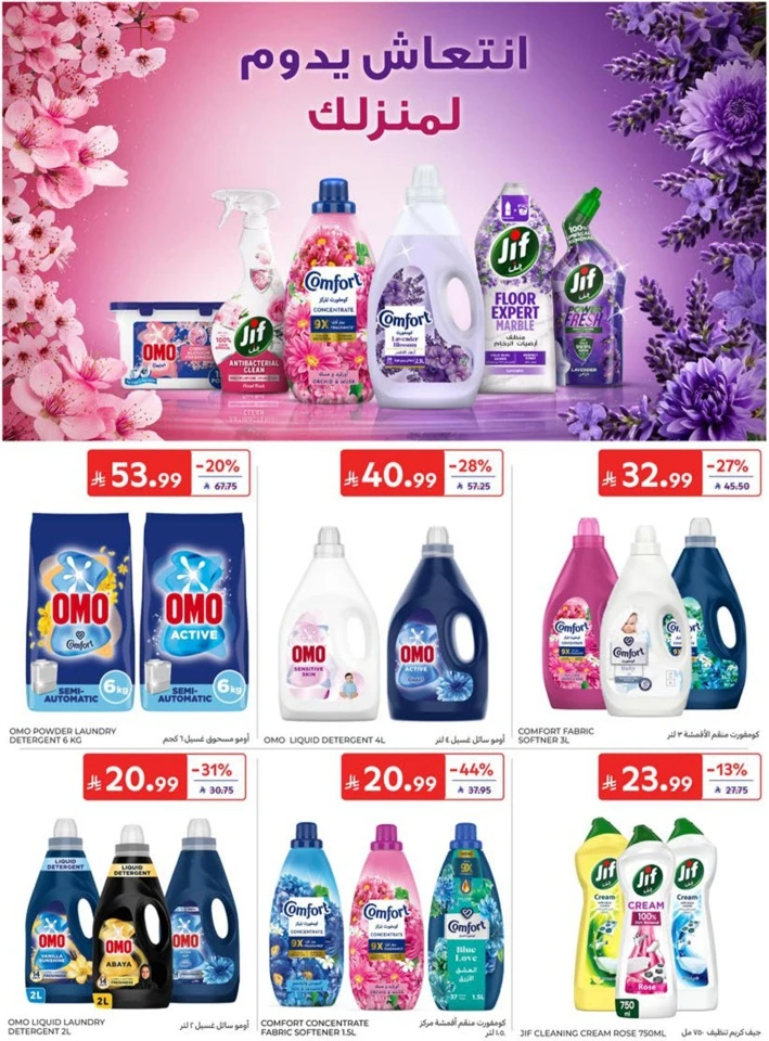 Carrefour Big Promotion