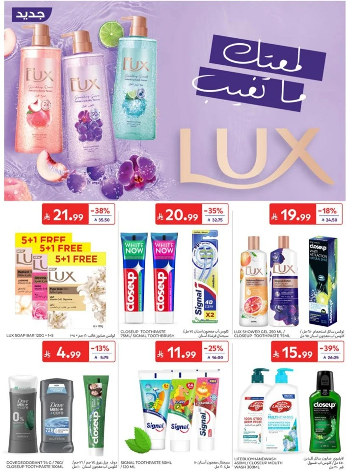 Carrefour Big Promotion