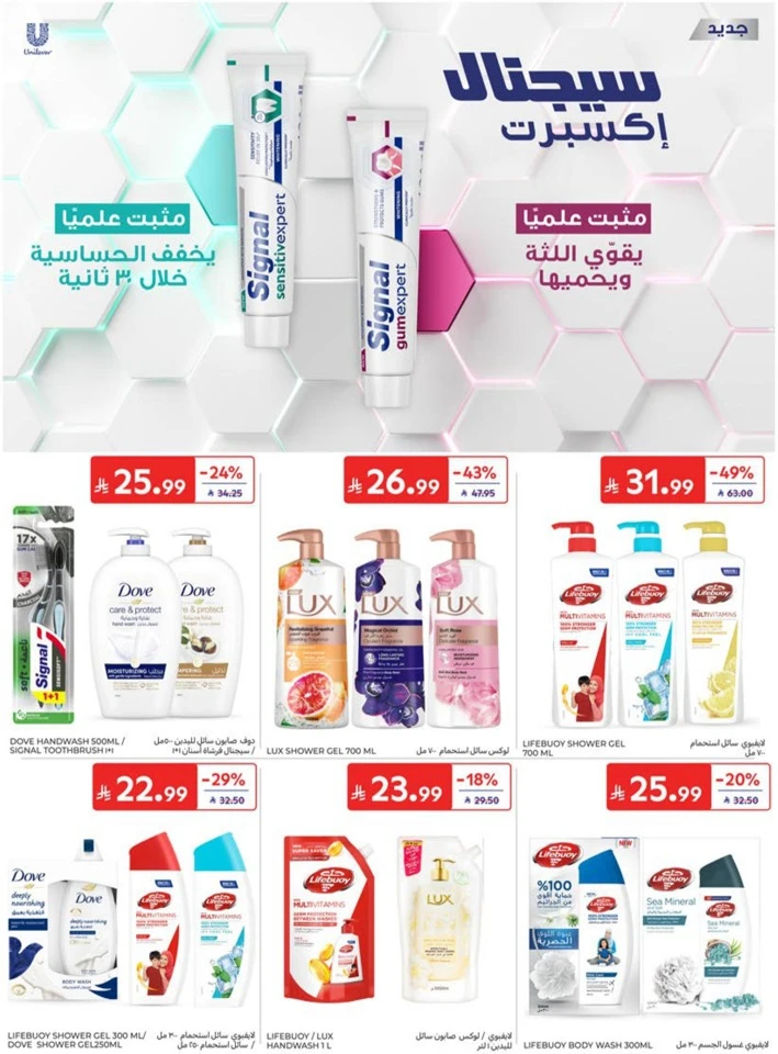 Carrefour Big Promotion