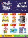 Danube New Year Offer