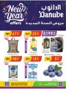 Danube New Year Deal