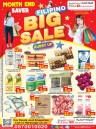 Month End Saver Big Sale