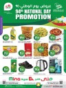 Mina Hyper National Day Offer