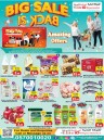 Big Sale Is Back Promotion